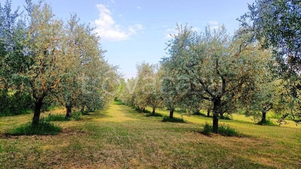 terreno agricolo in vendita a Costermano sul Garda