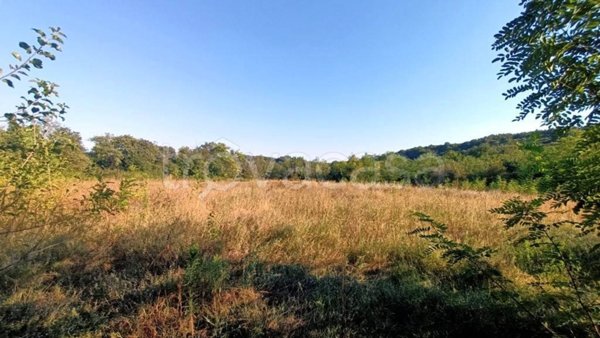 terreno agricolo in vendita a Costermano sul Garda