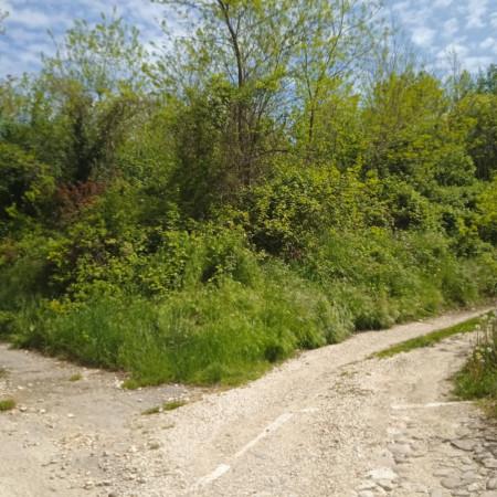 terreno agricolo in vendita a Costermano sul Garda