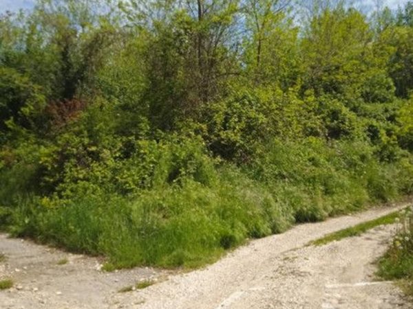 terreno agricolo in vendita a Costermano sul Garda in zona San Verolo