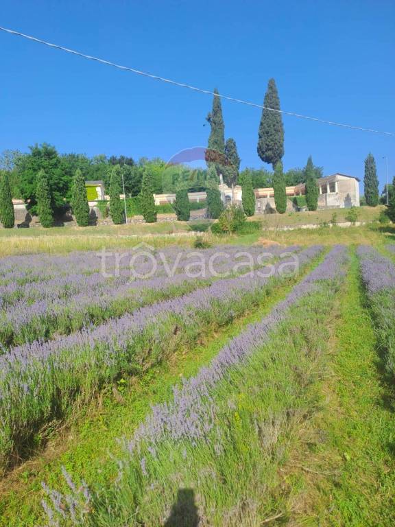 terreno agricolo in vendita a Costermano sul Garda
