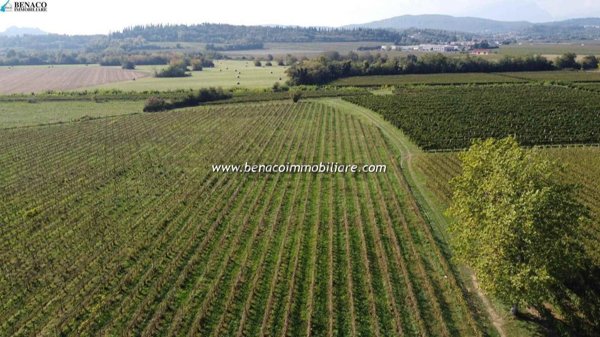 terreno agricolo in vendita a Costermano sul Garda