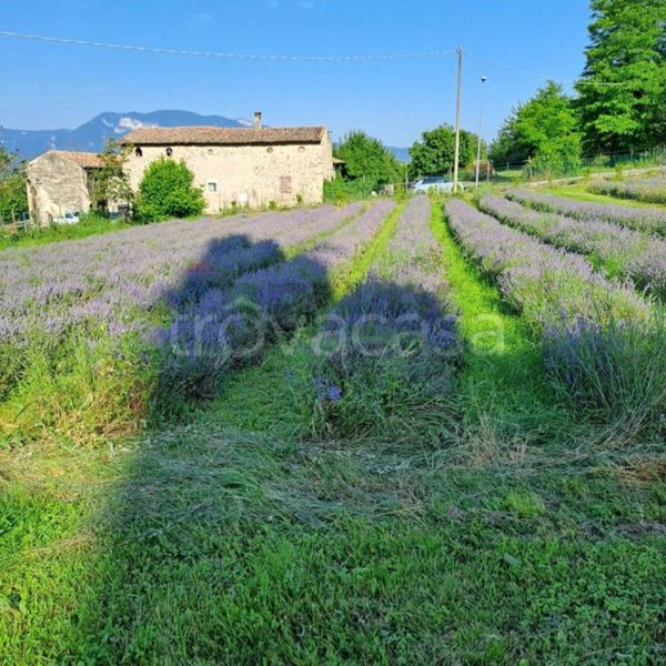 terreno agricolo in vendita a Costermano sul Garda