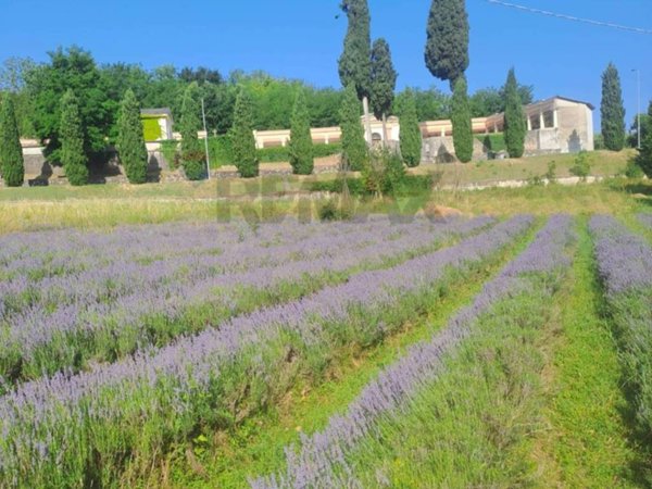 terreno agricolo in vendita a Costermano sul Garda