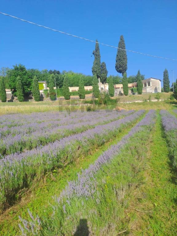terreno agricolo in vendita a Costermano sul Garda