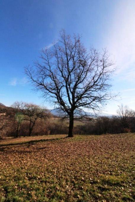 terreno agricolo in vendita a Costermano sul Garda
