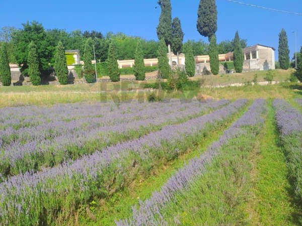 terreno agricolo in vendita a Costermano sul Garda