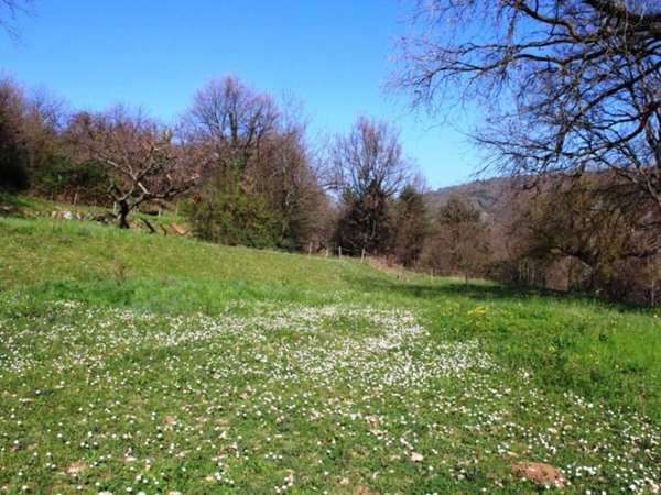 terreno agricolo in vendita a Costermano sul Garda