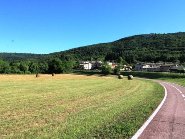 terreno agricolo in vendita a Costermano sul Garda in zona San Verolo