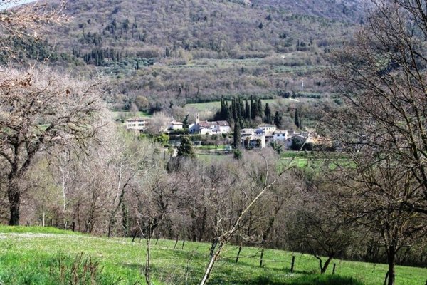 terreno agricolo in vendita a Costermano sul Garda