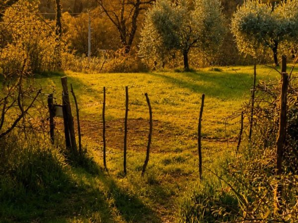 terreno in vendita a Costermano sul Garda in zona Pizzon