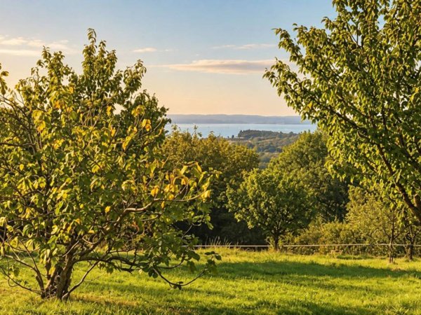 terreno in vendita a Costermano sul Garda in zona Pizzon