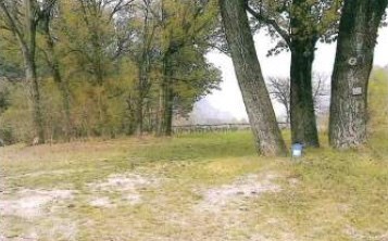 terreno edificabile in vendita a Dolcè in zona Ceraino