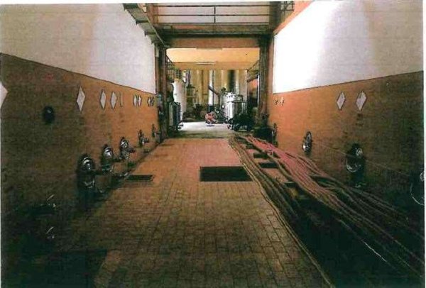 azienda agricola in vendita a Dolcè