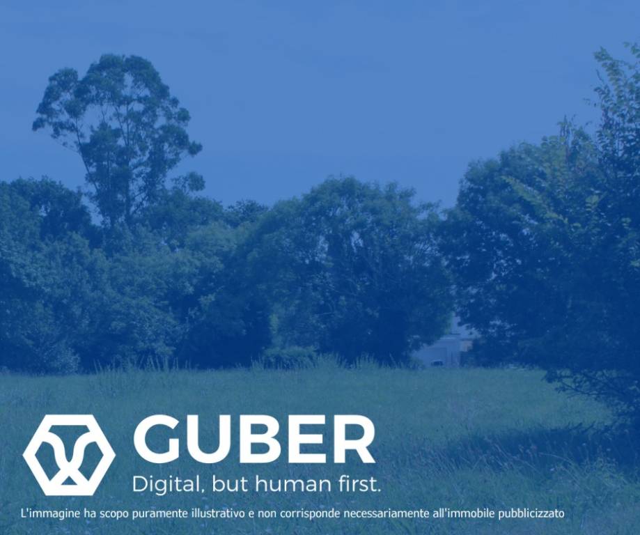 terreno agricolo in vendita a Dolcè