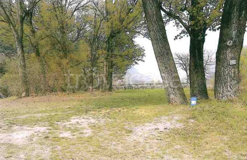 terreno agricolo in vendita a Dolcè
