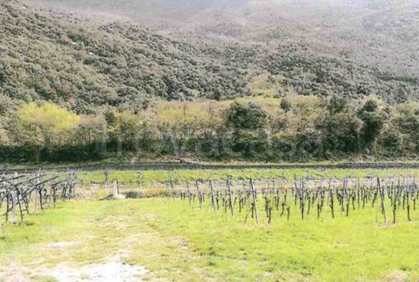 ufficio in vendita a Dolcè in zona Peri