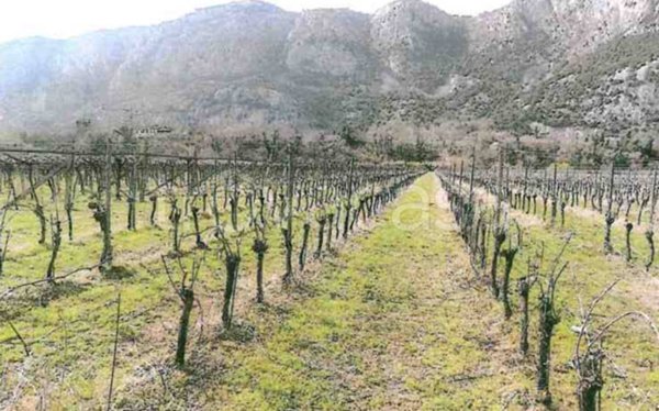 ufficio in vendita a Dolcè in zona Peri