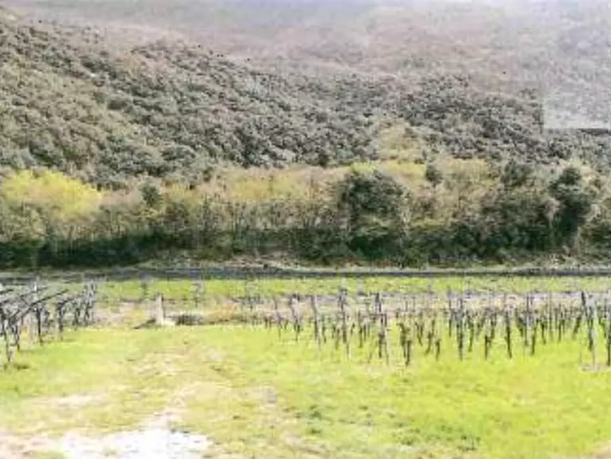 mansarda in vendita a Dolcè in zona Peri