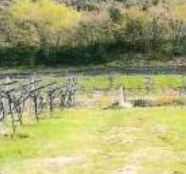 terreno in vendita a Dolcè