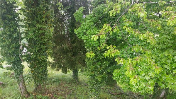 villa in vendita a Ferrara di Monte Baldo