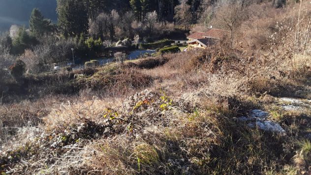 terreno edificabile in vendita a Ferrara di Monte Baldo