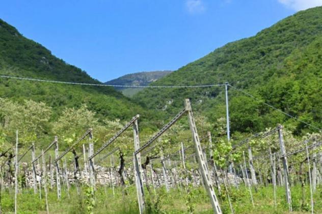 terreno agricolo in vendita a Fumane
