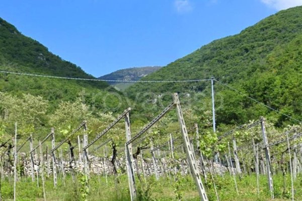 terreno agricolo in vendita a Fumane