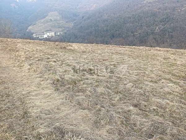 terreno agricolo in vendita a Fumane
