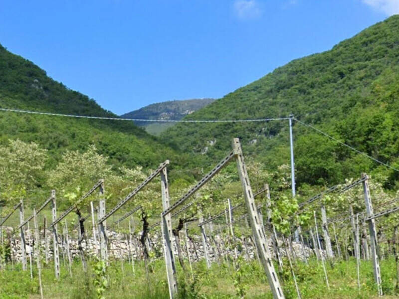 terreno agricolo in vendita a Fumane