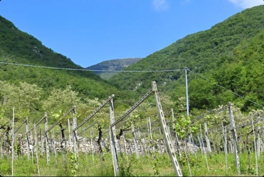 terreno agricolo in vendita a Fumane