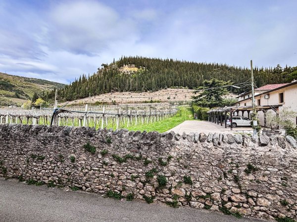 quadrivano in vendita a Fumane