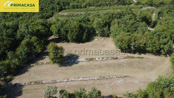 terreno agricolo in vendita a Fumane in zona Cavalo