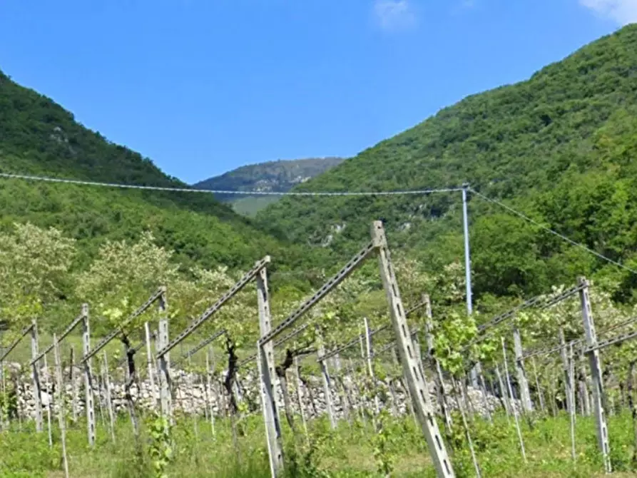 terreno agricolo in vendita a Fumane