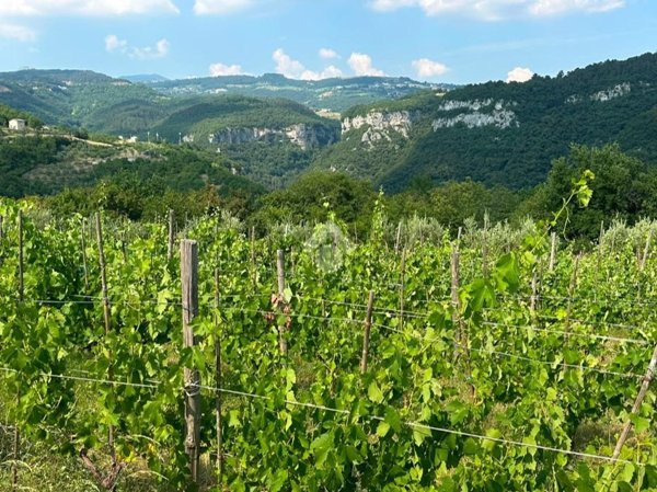 terreno agricolo in vendita a Fumane