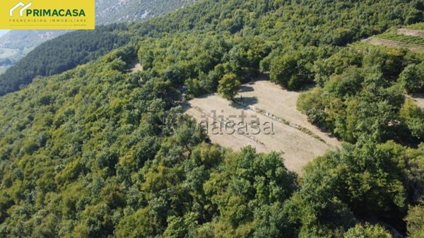terreno agricolo in vendita a Fumane in zona Cavalo