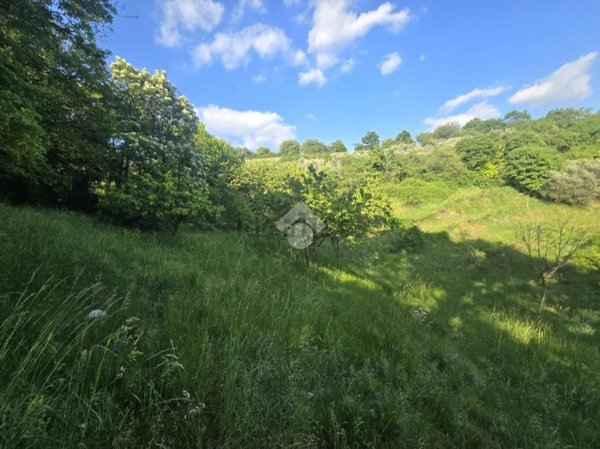 terreno agricolo in vendita a Fumane