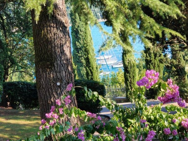 appartamento in vendita a Garda