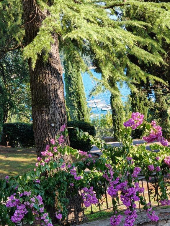 appartamento in vendita a Garda