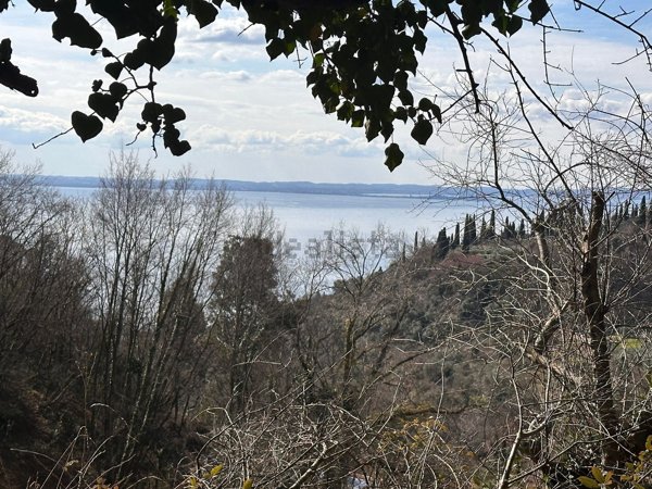 terreno agricolo in vendita a Garda