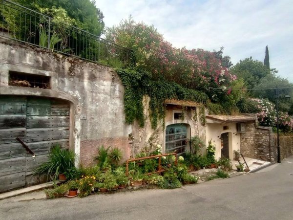 locale commerciale in vendita a Garda