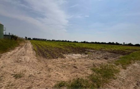 terreno edificabile in vendita a Gazzo Veronese