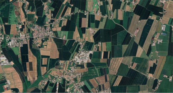 terreno agricolo in vendita a Gazzo Veronese
