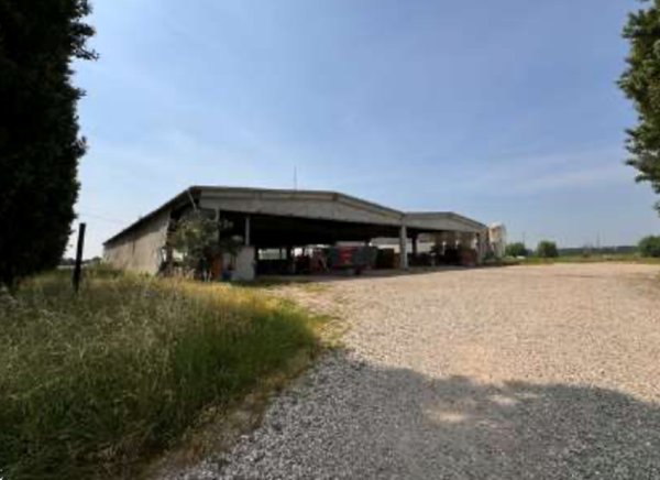 azienda agricola in vendita a Gazzo Veronese