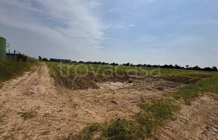 terreno edificabile in vendita a Gazzo Veronese