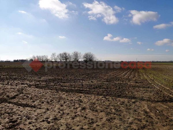terreno agricolo in vendita a Gazzo Veronese in zona Roncanova