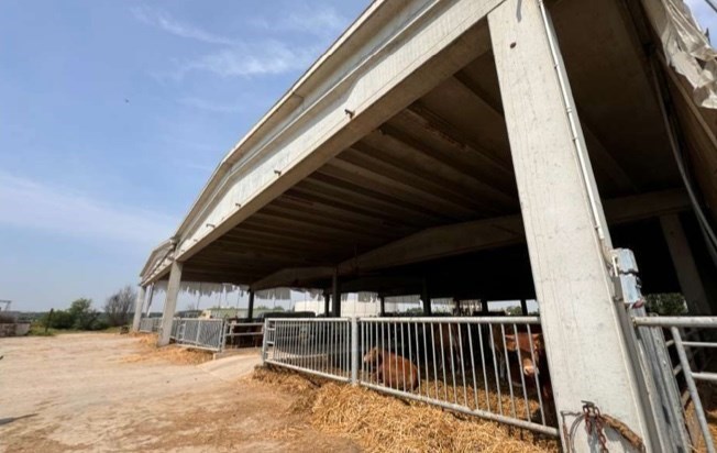 terreno edificabile in vendita a Gazzo Veronese in zona San Pietro in Valle