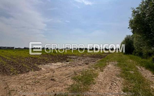 terreno agricolo in vendita a Gazzo Veronese