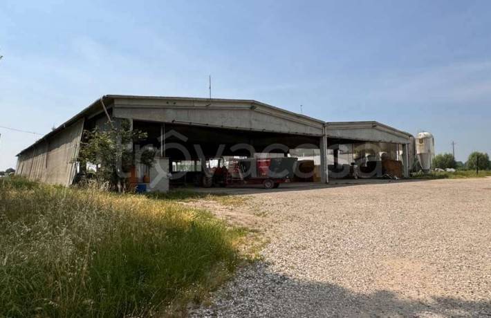 ufficio in vendita a Gazzo Veronese