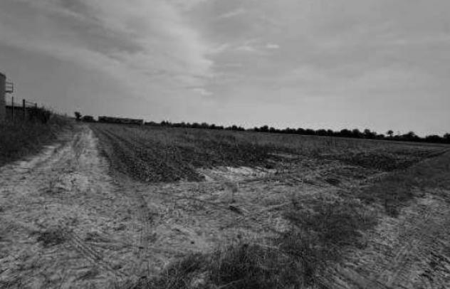 terreno edificabile in vendita a Gazzo Veronese